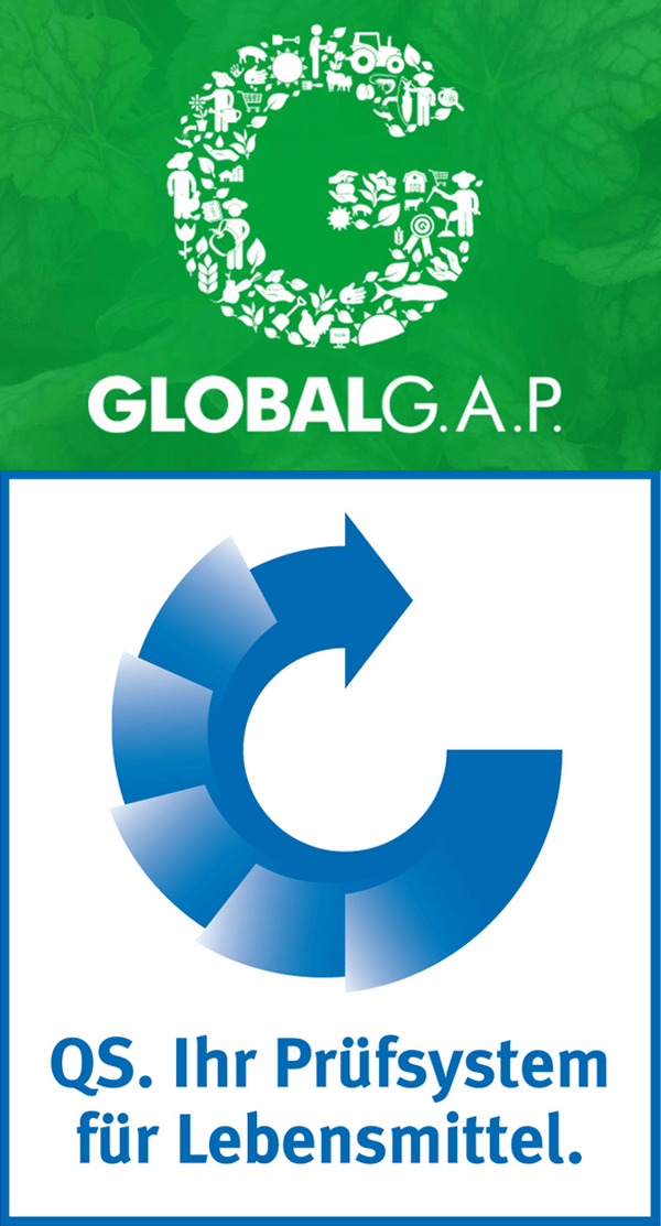 Zertifizierung Global GAP, Völkel Gemüsebau